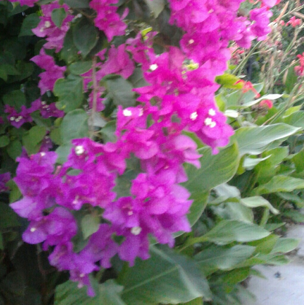 Meet your Posher, Sonia